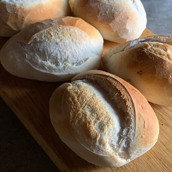 PETIT BLANCO PANNET
